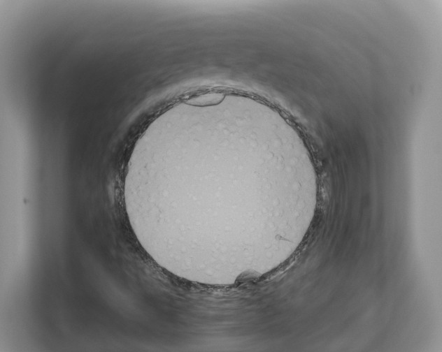X0000111121495200908111008
