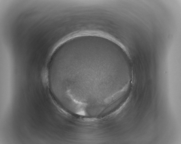 X0000111121498200908111008