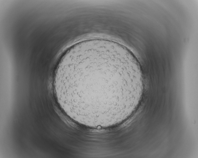 X0000111121499200908111008