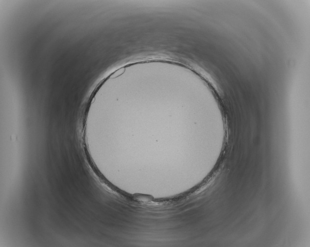 X0000111121500200908111008