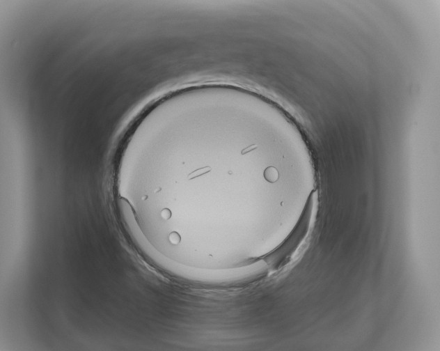 X0000111121502200908111008