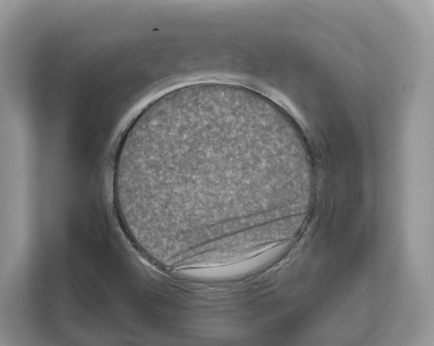 X0000111121504200908111008