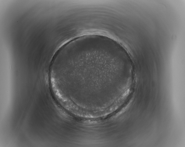X0000111121505200908111008