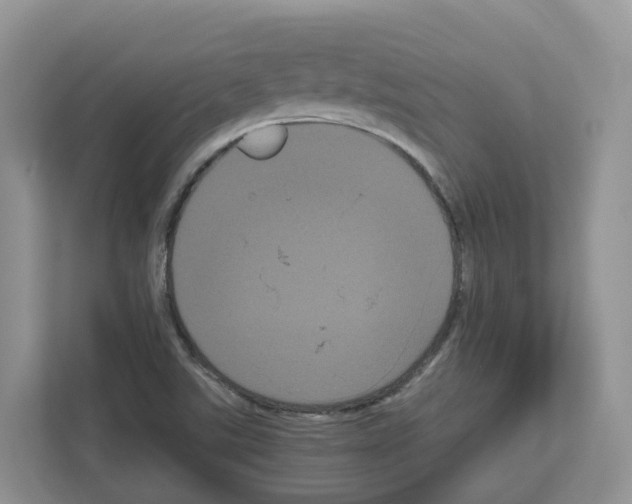 X0000111121507200908111008