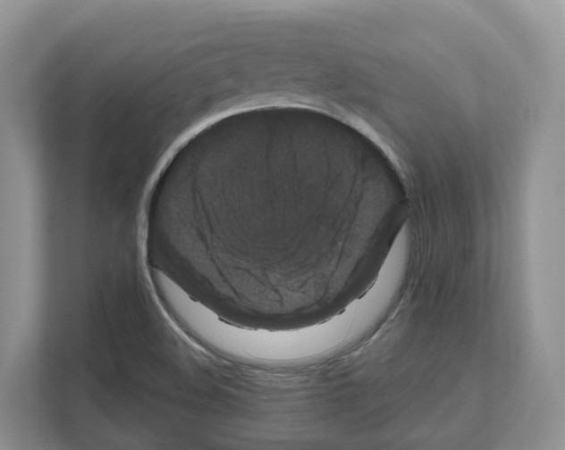 X0000111121508200908111008
