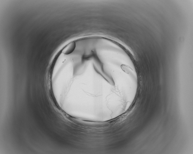 X0000111121510200908111008