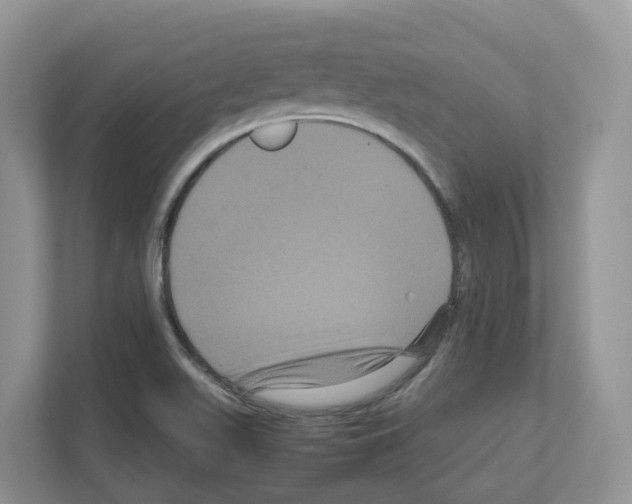 X0000111121511200908111008