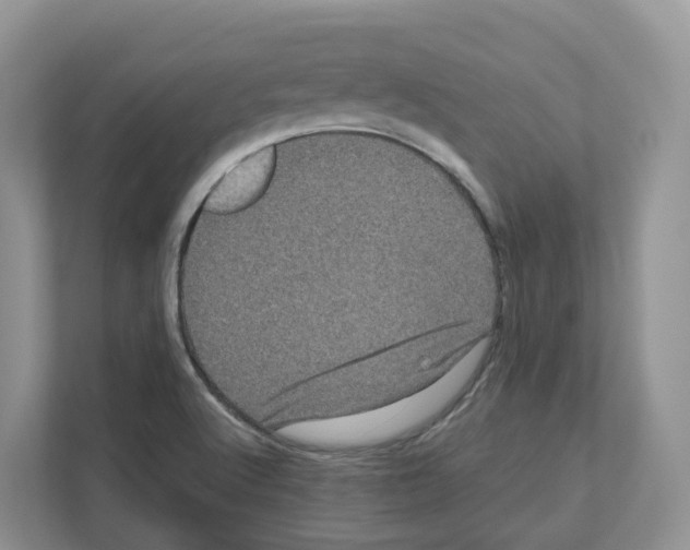 X0000111121512200908111008