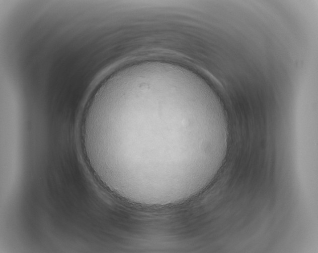 X0000111121514200908111008
