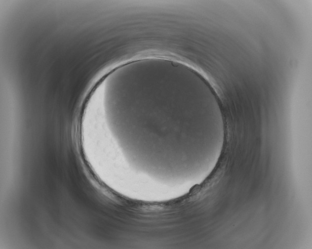 X0000111121515200908111009