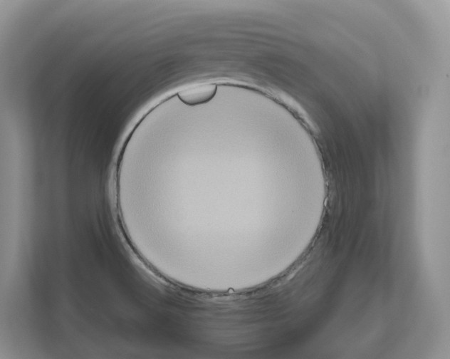 X0000111121516200908111009