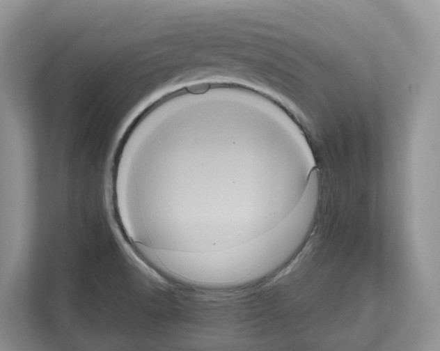 X0000111121518200908111009
