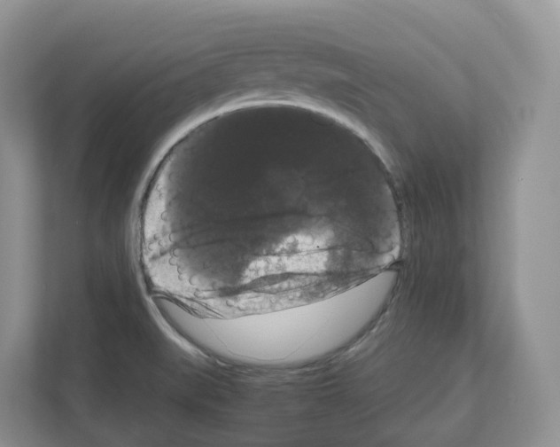 X0000111121519200908111009