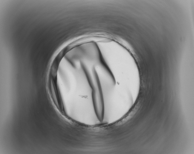 X0000111121520200908111009
