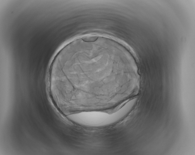X0000111121522200908111009