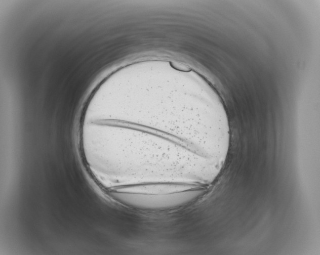 X0000111121523200908111009
