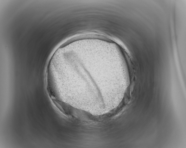 X0000111121524200908111009