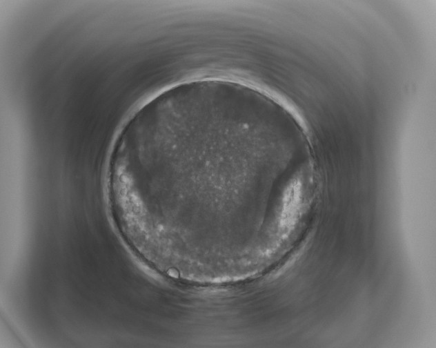 X0000111121525200908111009