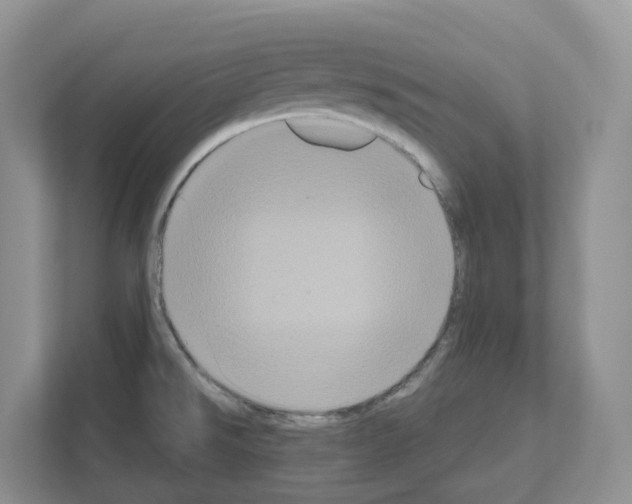 X0000111121526200908111009