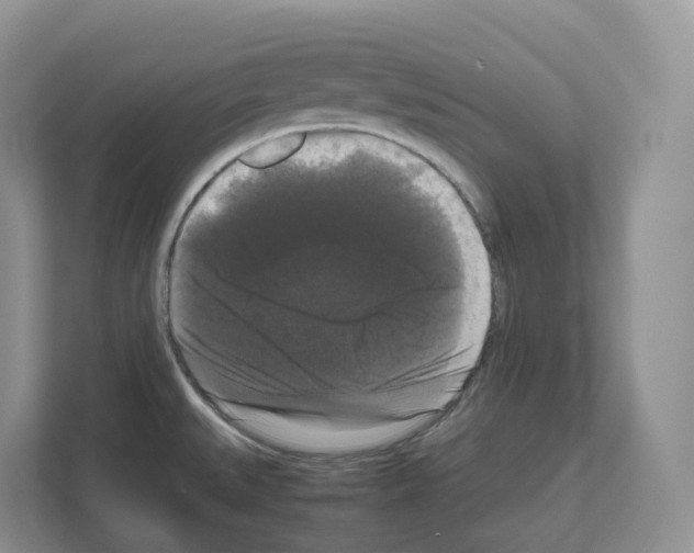 X0000111121527200908111009