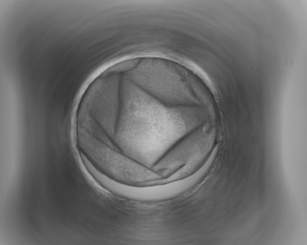 X0000111121528200908111009