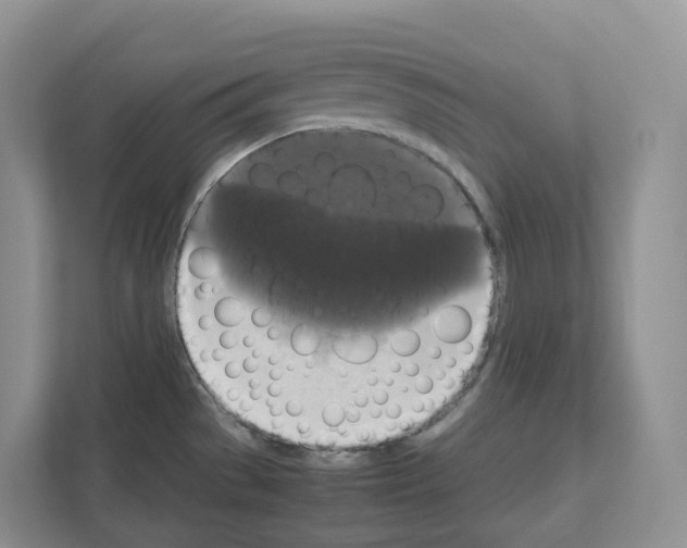 X0000111121529200908111009