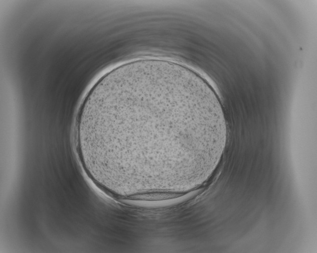 X0000111121531200908111009