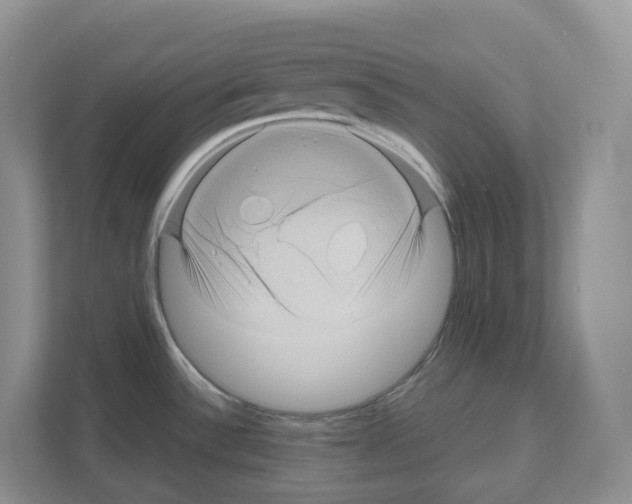 X0000111121532200908111009