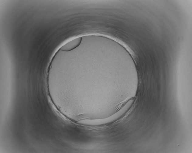 X0000111121534200908111009