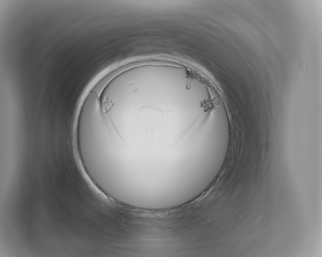 X0000111121536200908111009