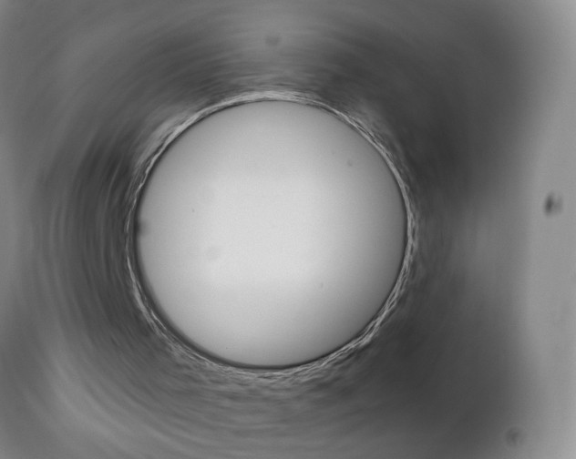X0000111130001200906301116