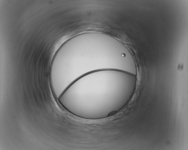 X0000111130003200906301116