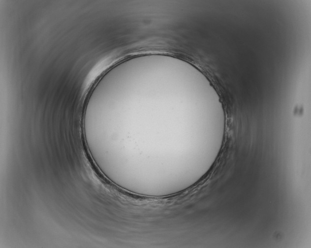 X0000111130004200906301116