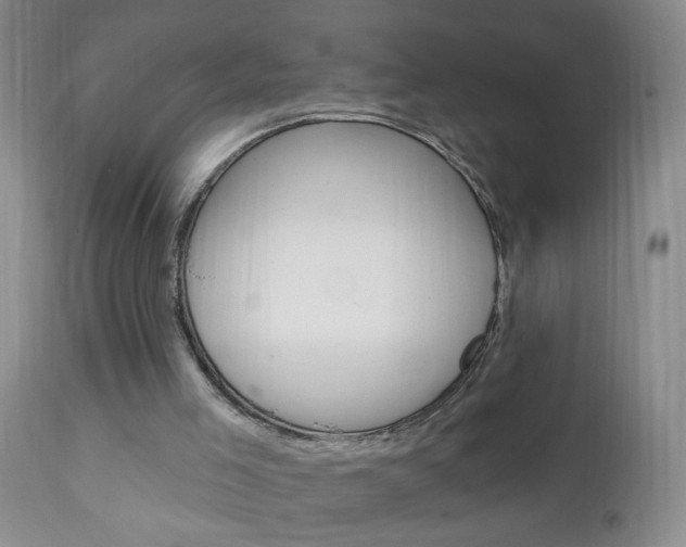 X0000111130005200906301116