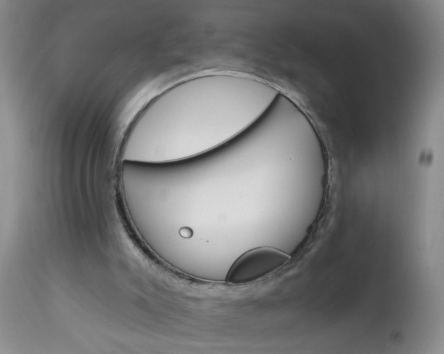 X0000111130007200906301116