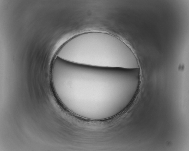 X0000111130008200906301116