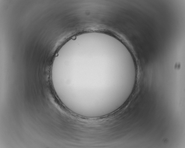 X0000111130010200906301116
