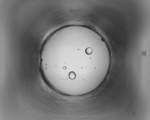 X0000111130011200906301116