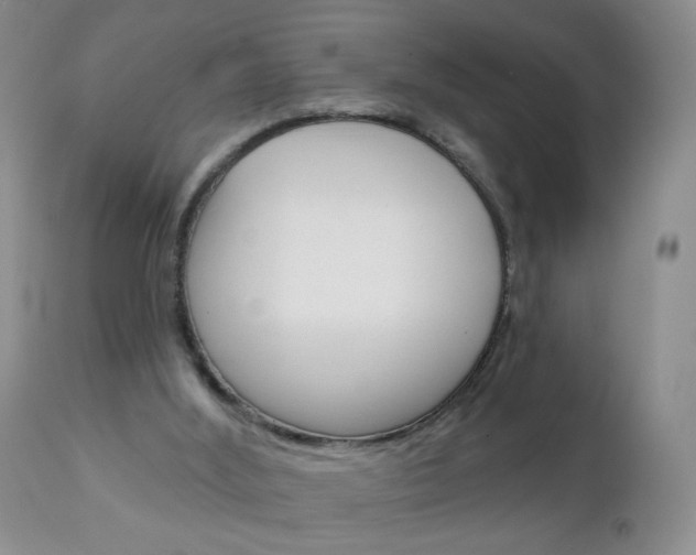 X0000111130012200906301116
