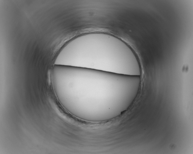 X0000111130013200906301116