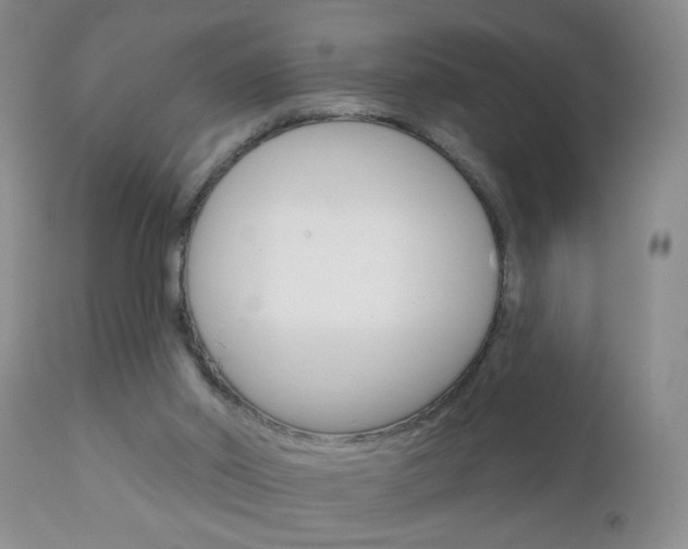 X0000111130014200906301116