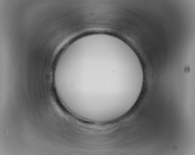X0000111130016200906301116