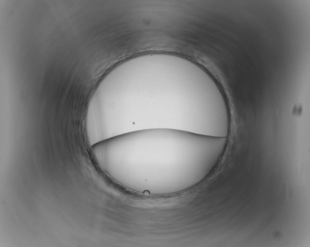 X0000111130017200906301116