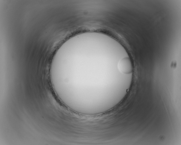 X0000111130018200906301116