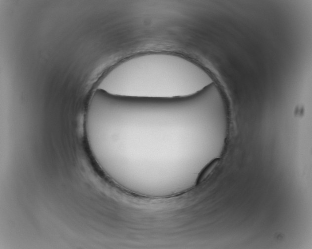 X0000111130019200906301116