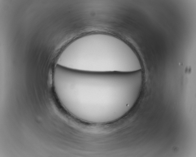 X0000111130020200906301116