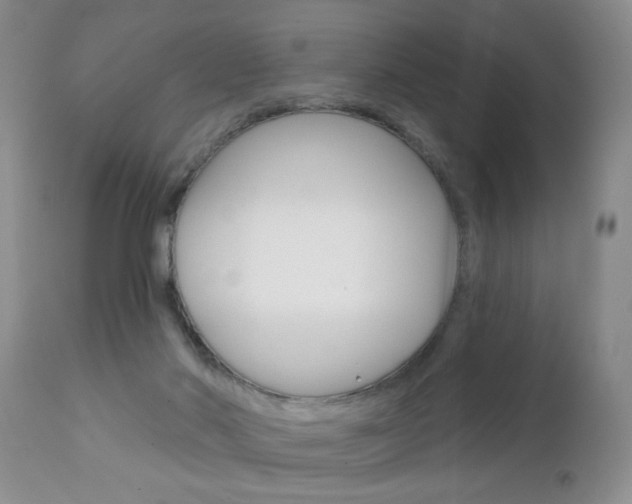 X0000111130022200906301116