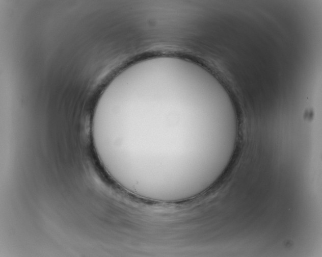 X0000111130024200906301116