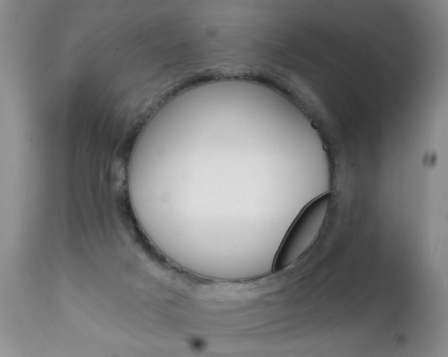 X0000111130025200906301116