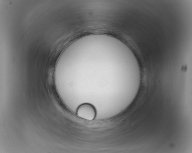 X0000111130026200906301116